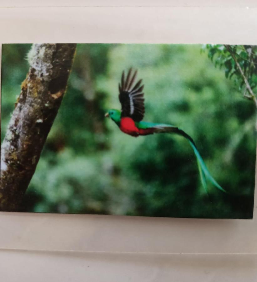 דירות פלאייה דל כרמן Quetzal מראה חיצוני תמונה